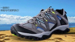 口袋德州官网-口袋德州APP下载